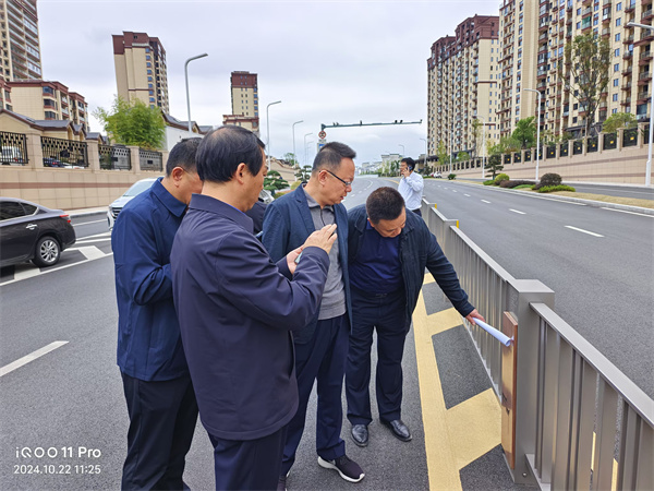 10月22日，洪董陪同汪凱書記一行到新安路調(diào)研.jpg