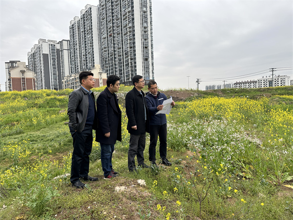 3月29日，張總陪同汪盛縣長調(diào)度揚之學(xué)校征地.jpg